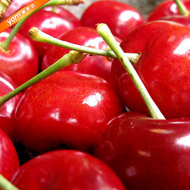 Big_32c4de72eccb5e23