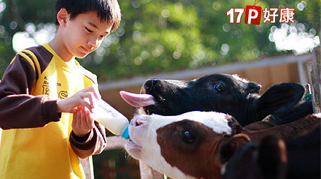 Big_ed5c0931edm69b4edm4d99edmad8cedm44e67e4e174d