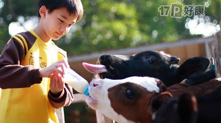 Big_73a295bbedm6203edm4968edma479edm1e093ce1fe70