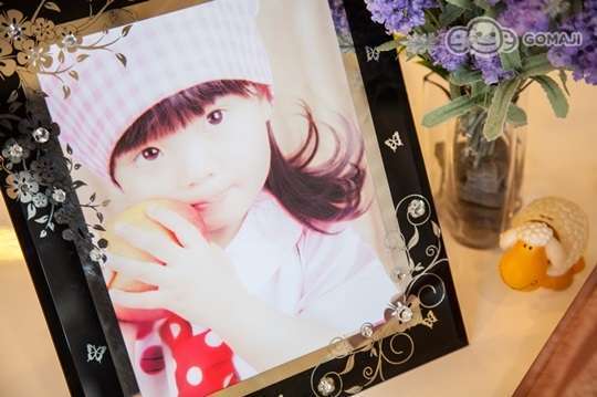 采奕婚紗.婚禮攝影 1.8折! - 寵物寫真/攝影寫真書