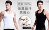 17LIFE 4.5折! - 透氣100%純棉吸濕排汗男背心