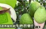 17LIFE 9.3折! - 嚴選燕巢特級牛奶芭樂禮盒