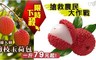 17LIFE 7.7折! - 外銷級(剪枝)玉荷包(5斤±10%/盒)