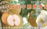 天天果園 8.3折! - 東勢特選高山牛奶豐水梨