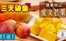 超人阿嬤 4.7折! - 屏東枋山外銷愛文芒果禮盒