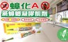 上黏 5.1折! - 蟑化A滅蟑螂凝膠餌劑10g