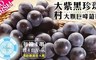 游家果園 7.6折! - 彰化大村特大顆巨峰葡萄
