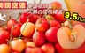 17LIFE 7.7折! - 9.5Row大顆白櫻桃禮盒