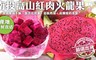 天天果園 8.6折! - 產地新鮮直送紅肉火龍果