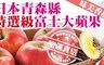 17LIFE 8.3折! - 日本青森縣特選級富士蘋果禮盒