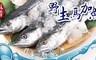 愛上新鮮 7.7折! - 野生殺清馬加魚