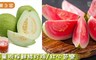 果之家 8.3折! - 燕巢現採鮮綠紅心芭樂/燕巢珍珠芭樂