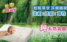 17LIFE 3.0折! - 舒壓按摩乳膠枕
