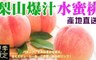 17LIFE 9.6折! - 梨山產地直送爆汁水蜜桃