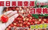 17LIFE 5.3折! - 華盛頓西北空運9.5Row
