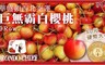 ORONDO CHIEF 鐵甲武士 6.4折! - 空運XL巨無霸白櫻桃