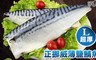 饕寶食集 4.4折! - XL超厚正挪威薄鹽鯖魚