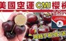 美國CMI 8.2折! - 空運華盛頓(大)櫻桃9row