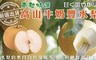 天天果園 5.8折! - 東勢特選高山牛奶豐水梨8A禮盒