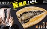 鮮綠生活 7.6折! - 巨大台南虱目魚肚