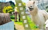 富田花園農場 5.6折! - 單人單次入園專案