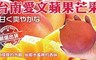 17LIFE 7.6折! - 台南愛文(新品種)蘋果文芒果