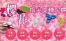 17LIFE 3.5折! - 櫻花 指尖旋轉陀螺