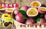 南投埔里 8.8折! - 特級吊網百香果手提禮盒
