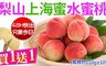 17LIFE 5.9折! - 梨山爆汁水蜜桃(極品上海蜜)