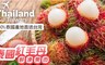 食在鮮味 8.0折! - 泰國紅毛丹鮮果肉