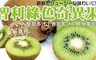 17LIFE 8.2折! - 智利綠色奇異果