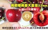 17LIFE 5.7折! - 美國巨無霸8.5rowXXL櫻桃禮盒