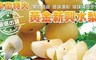 17LIFE 7.5折! - 卓蘭黃金新興水梨12A禮盒