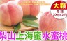 17Life 7.3折! - 梨山大顆爆汁水蜜桃