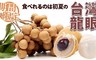 17LIFE 9.5折! - 台南東山鄉特大顆龍眼