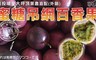 17LIFE 9.7折! - 埔里大坪頂蜜糖吊網百香果