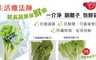 一介淨 9.0折! - 銀離子抗菌蔬果保鮮袋(大/小)