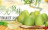 17LIFE 7.0折! - 30年正麻豆嚴選老欉文旦禮盒