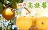 17LIFE 5.8折! - 卓蘭特大爆汁高接梨禮盒