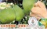 呈言鮮果 7.6折! - 40年老欉特A級文旦小禮盒(2.5台斤)