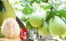 17LIFE 7.2折! - 60年老欉文旦禮盒