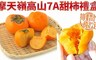 果之蔬 7.3折! - 摩天嶺高山7A甜柿禮盒