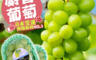 生活市集 7.2折! - 重量級大規格日本麝香葡萄(預購)