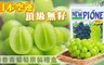 NEW PIONE 7.4折! - 空運無籽麝香蜜青葡萄禮盒