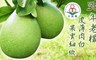 柚王 6.7折! - 花蓮鶴岡50年老欉文旦禮盒
