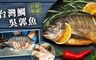 17LIFE 8.0折! - 外銷等級台灣鯛吳郭魚
