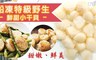 17LIFE 8.0折! - 船凍特級野生鮮甜小干貝
