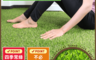 生活市集 2.6折! - 高品質仿真人造草皮地板