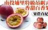 17LIFE 6.1折! - 特級吊網式香甜百香果
