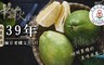 正宗麻豆張家 5.3折! - 老欉18菌(優酪乳菌)栽種吉園圃文旦
